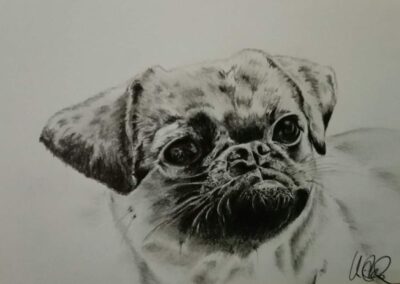 Mops