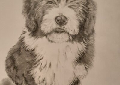 Hund mit Bleistift gezeichnet