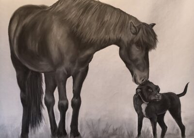 Islandpferd und Hund Kohlezeichnung